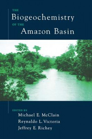 Biogeochemistry of the Amazon Basin