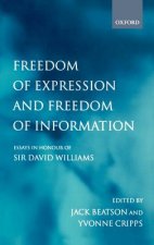 Freedom of Expression and Freedom of Information