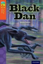 Oxford Reading Tree TreeTops Fiction: Level 13 More Pack A: Pack of 6