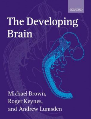 Developing Brain