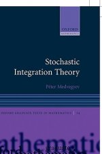 Stochastic Integration Theory