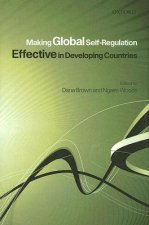Making Global Self-Regulation Effective in Developing Countries