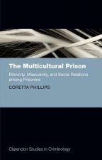 Multicultural Prison