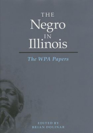 Negro in Illinois