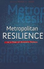 Metropolitan Resilience in a Time of Economic Turmoil