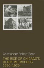 Rise of Chicago's Black Metropolis, 1920-1929