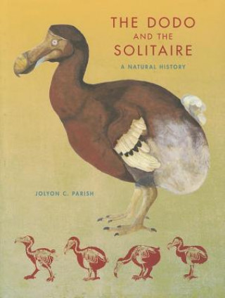 Dodo and the Solitaire