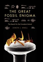 Great Fossil Enigma