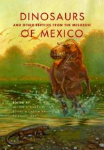 Dinosaurs and Other Reptiles from the Mesozoic of Mexico
