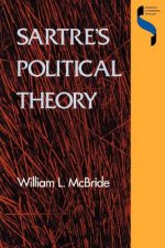 Sartre's political theory