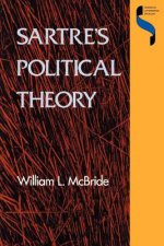 Sartre's political theory
