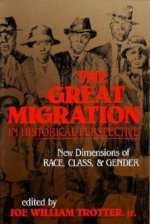 Great Migration in Historical Perspective
