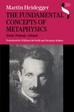 Fundamental Concepts of Metaphysics