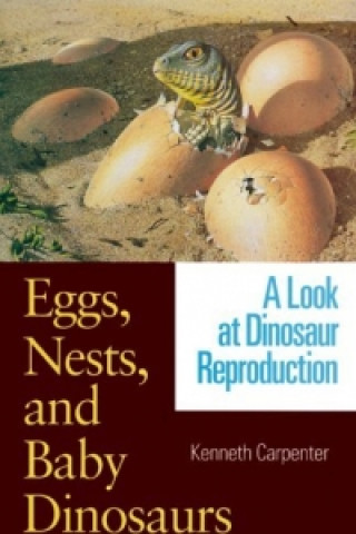 Eggs, Nests and Baby Dinosaurs