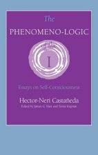 Phenomeno-Logic of the I