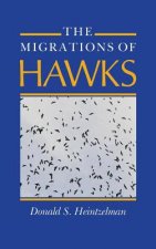 Migrations of Hawks