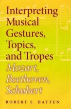 Interpreting Musical Gestures, Topics, and Tropes