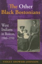 Other Black Bostonians