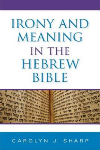 Irony and Meaning in the Hebrew Bible