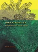 Plants in Mesozoic Time