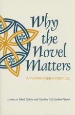 Why the Novel Matters