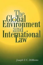 Global Environment and International Law