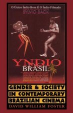 Gender and Society in Contemporary Brazilian Cinema