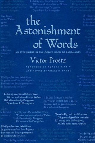 Astonishment of Words