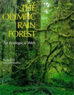 Olympic Rain Forest