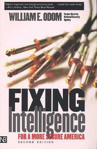 Fixing Intelligence