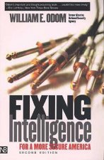 Fixing Intelligence