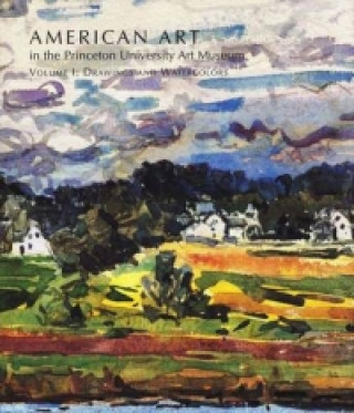 American Art in the Princeton University Art Museum