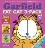 Garfield Fat Cat 3-Pack #13