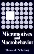 Micromotives and Macrobehaviour