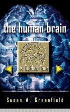 Human Brain