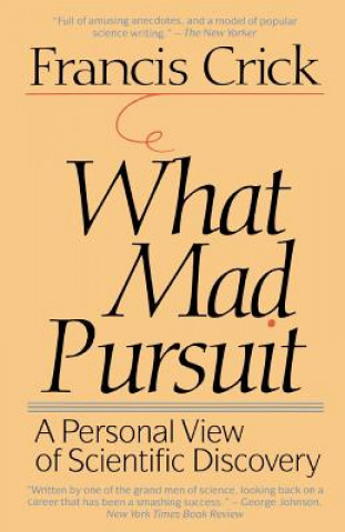 What Mad Pursuit