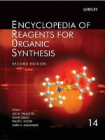 Encyclopedia of Reagents for Organic Synthesis 2e 14 V Set