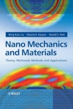 Nano Mechanics and Materials - Theory, Multiscale Methods and Applications