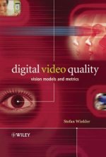 Digital Video Quality - Vision Models and Metrics