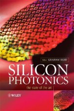 Silicon Photonics - The State of the Art