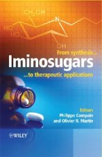 Iminosugars - From Synthesis to Therapeutic Applications