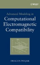 Advanced Modeling in Computational Electromagnetic  Compatibility