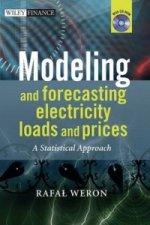 Modeling and Forecasting Electricity Loads and Prices - A Statistical Approach +Website