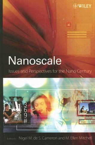 Nanoscale - Issues and Perspectives for the Nano Century