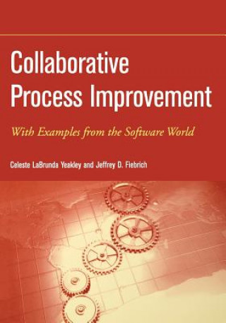 Collaborative Process Improvement - With examples from the Software World