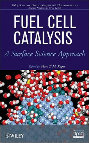 Fuel Cell Catalysis - A Surface Science Approach