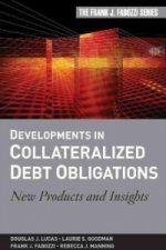 Developments in Collateralized Debt Obligations