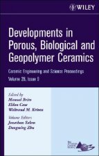 Developments in Porous, Biological and Geopolymer Ceramics V28 9