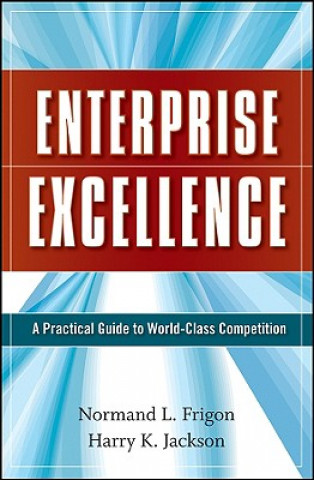 Enterprise Excellence - A Practical Guide to World  Class Competition