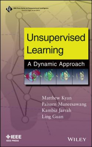 Unsupervised Learning - A Dynamic Approach